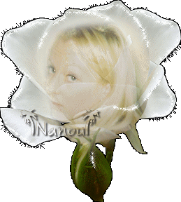 je t'aime mais je sais pas coment ,ou ,pourquoi ,je veus savoire t'est qui toi je sais que toi est un voleur qui m'a vole' mon coeur c'est  toi mon premier et dernier amour